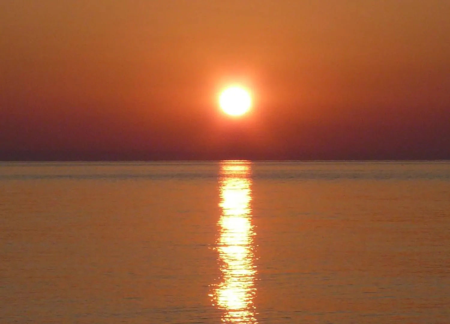 Morski Briag Hotel Altın Kumlar Bulgaristan